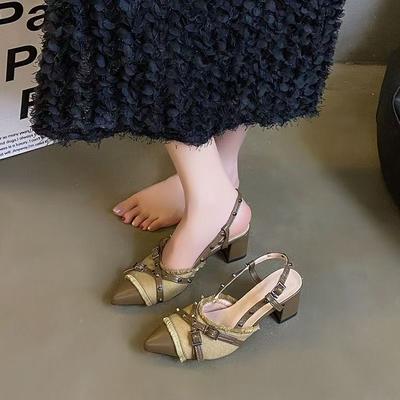 French Explosion Retro Pointed Single Shoes Women's 2025 Spring New Bag Head Empty Sandals Thick Heel Thin High Heels