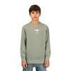 Boys Graphic Print Crew Neck Sweatshirt