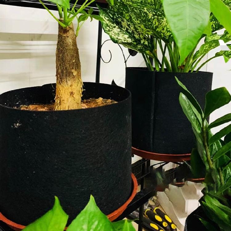 Nonwoven Fabric Grow Bags Garden Plant Pots with Handle Nonwoven Texture Suitable for Growth of Vegetables and Flowers