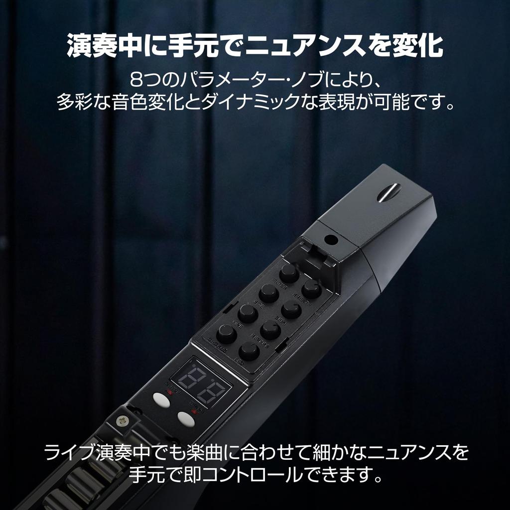 Akai Professional EWI 5000 Wind Synthesizer Electronic Wind Instrument Battery-powered Wireless Built-in Sound Library Breath Sensor Included Black