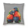 Rainbow Lorikeets Pillowcase Polyester Linen Velvet Printed Zip Decor Sofa Seater Cushion Cover Wholesale