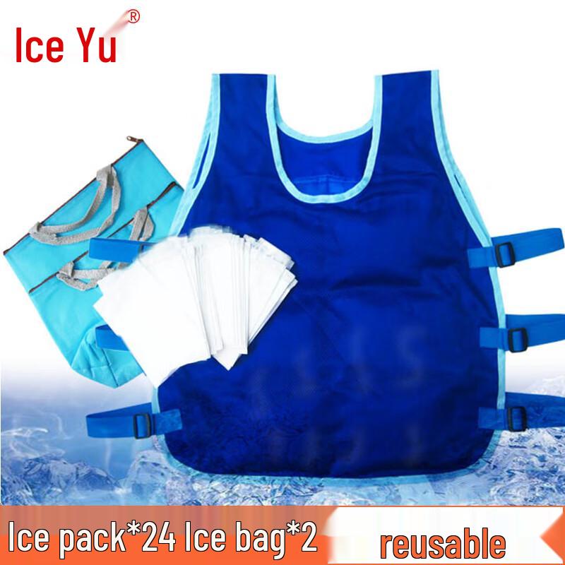 Bingyu Cooling Work Vest