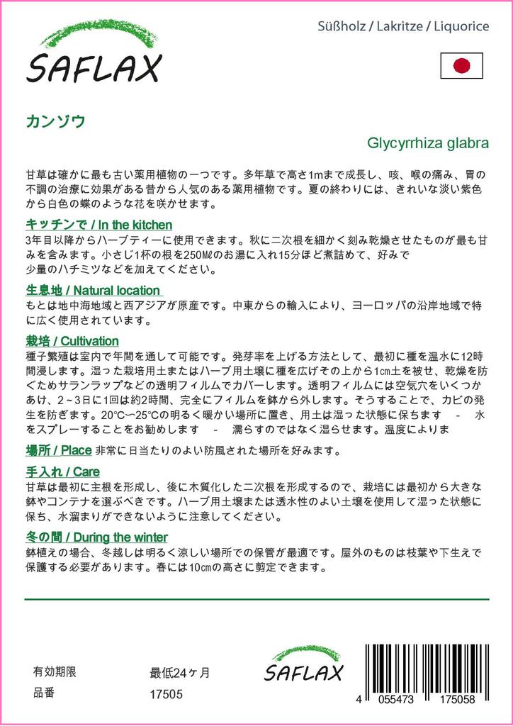 SAFLAX Lékořice - 30 semen - Se substrátem pro lepší pěstování - Glycyrrhiza glabra