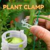 50/100 pezzi Clip di plastica per piante Supporti Connettori Riutilizzabili Protezione Innesto Strumento di fissaggio Forniture per giardinaggio per ortaggi pomodori