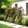 Garden Trellis, 152 X 40.5 Cm Rose Trellis, 4 Packs Garden Flower Rose Trellises with Powder-Coated Finish & Convenient Locking Design, Plant Support