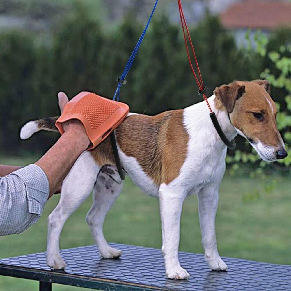 Adjustable Cat Grooming Loop Strong Steel Wire Pet Bathing Fixed Leash  Pet Haircut