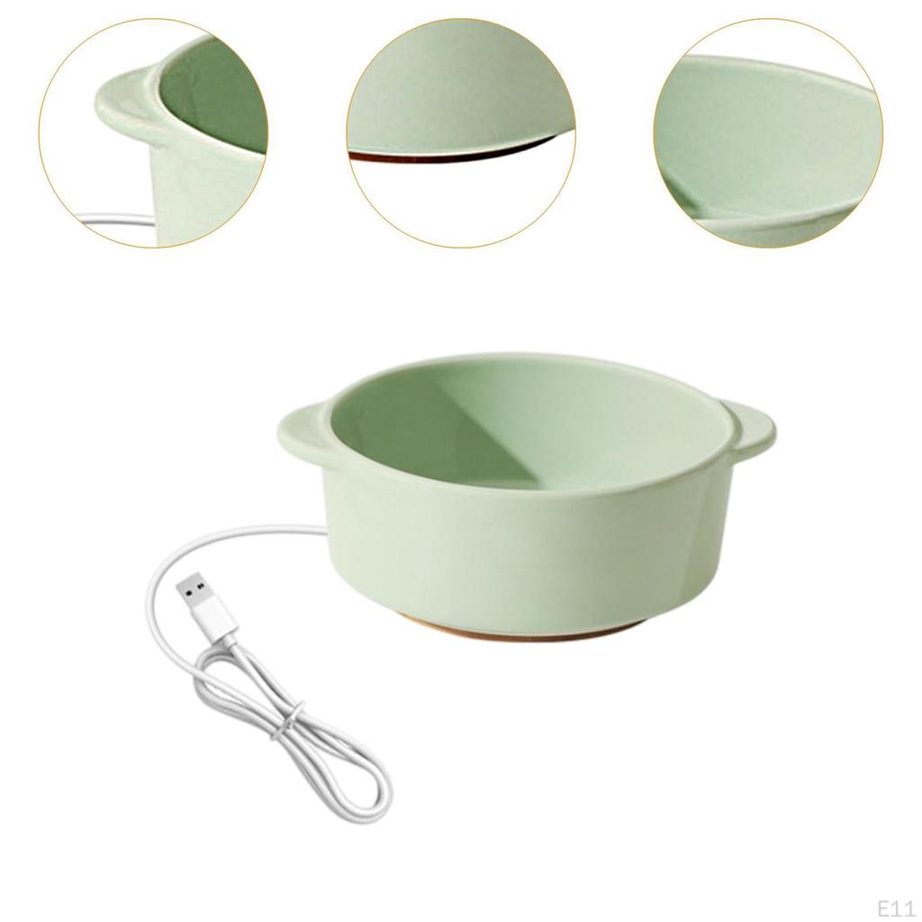 Pet Heated Bowl Ceramic Waterer Elevated Cat Dog Feeding for Winter