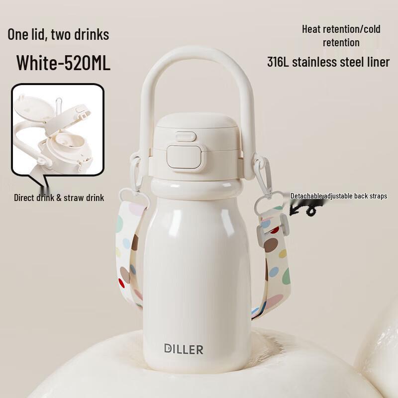 Dileber 316L SS Insulated Straw Water Bottle with Handle