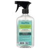 Aunt Fannie's, All-Purpose Cleaner, Eucalyptus, 500ml (16.9 Fl Oz)