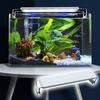 Super Slim Led Aquarium Light Lighting Plants Grow Light 28/38/48Cm Aquatic Plant Lighting Waterproof Clip-On Lamp For Fish Tank