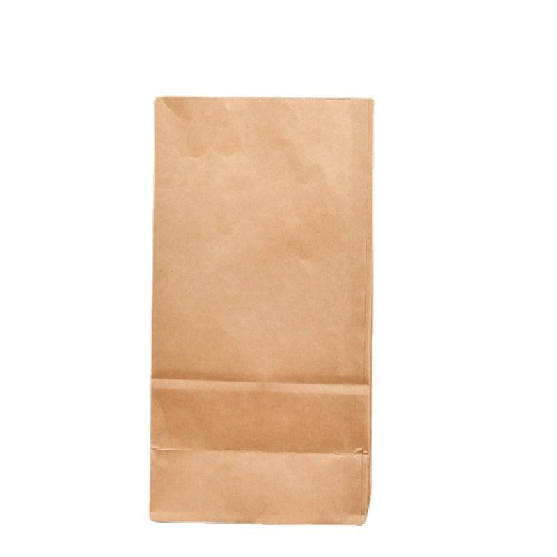 100PCS Kraft Paper Food Gift Bags – Sturdy for Cookies, Candies, Bread & Snacks – Baking Takeout Packaging, Eco-Friendly
