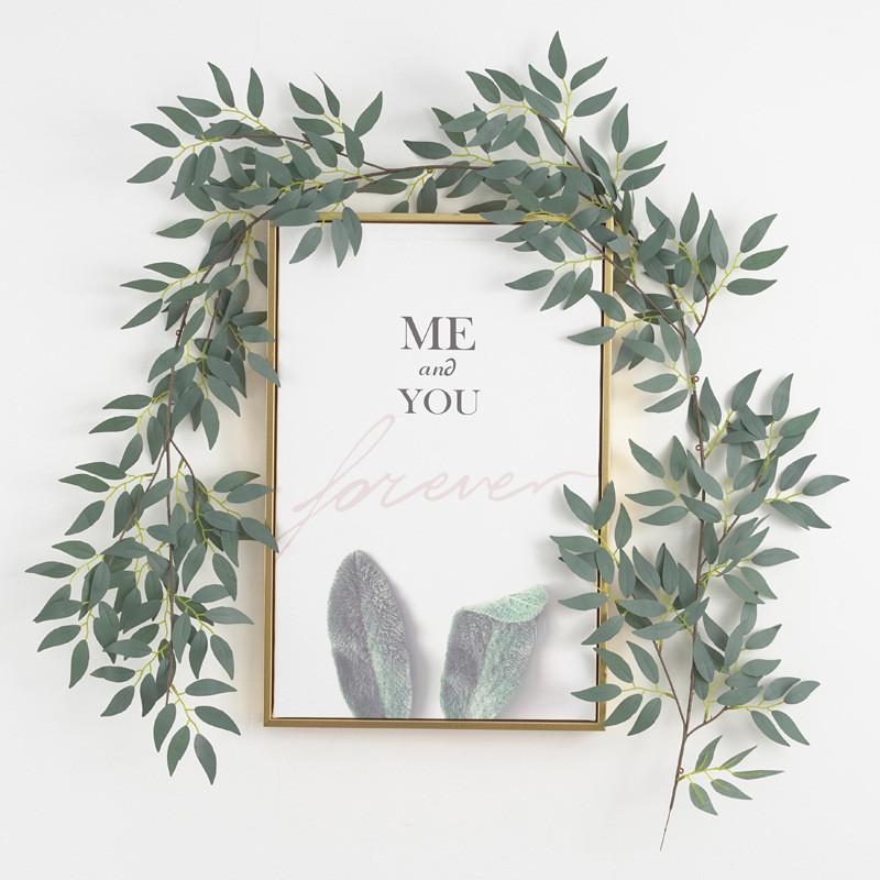 Leaf Foliage Eucalyptus For Wedding Backgrounds Outdoor Decoration Photography