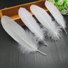 Diy Hard Floating Feathers And Goose Feathers Craft Decoration Children 'S Handmade Jewelry Accessories Home Clothing Decoration