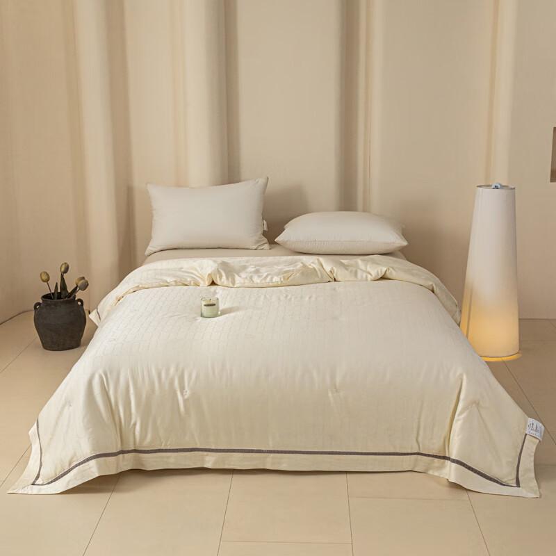 

Muji Bamboo Fiber Silk Duvet