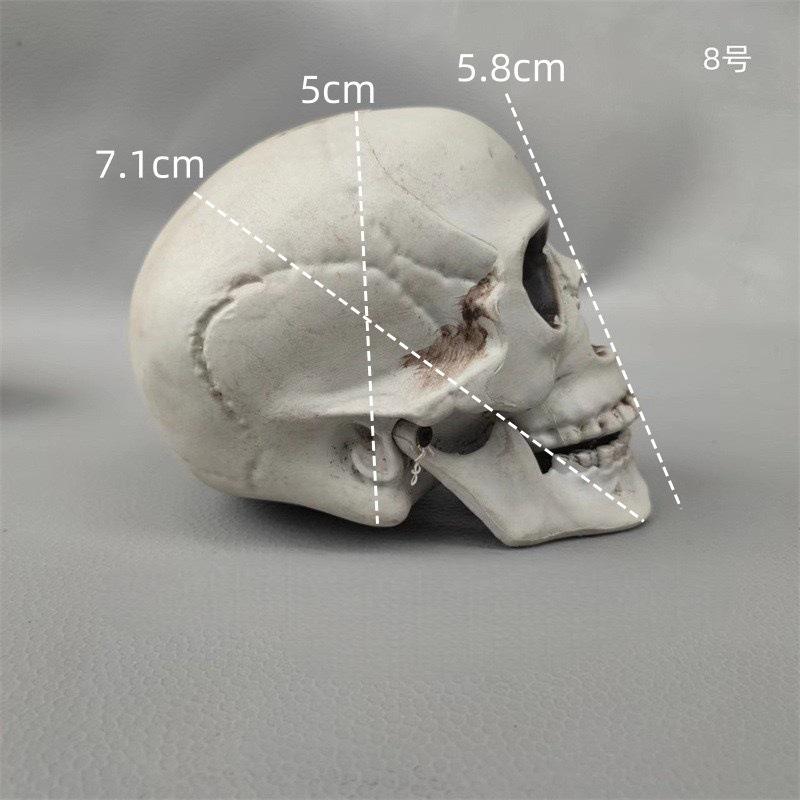 Simulation Skull Halloween Props Horror Ghost Bar Haunted House Secret Room Atmosphere Decoration