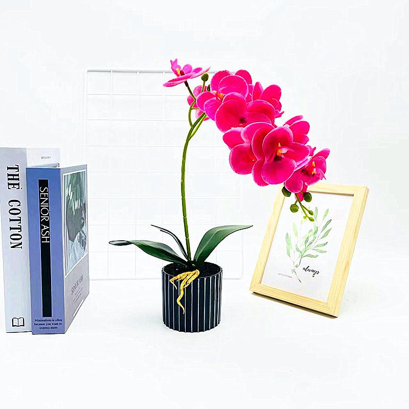 Simulated Potted Phalaenopsis Artificial Flower Desktop Ornament Decoration