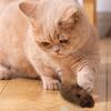 ABS Moving Mouse Cat Toy Moving Plush Cat Toys In Mouse Shape Interactive Decorative Cat Chasing Toys Funny Kitten Stuffed Toy