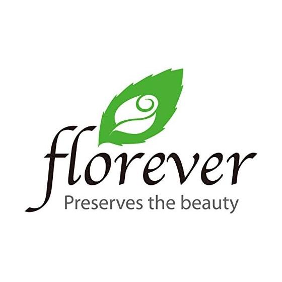 Flor Ever Preserved Flower Short Stem Rose Cherry Red Approx. Flower Diameter 3.5~5 x L20cm FL000072-005