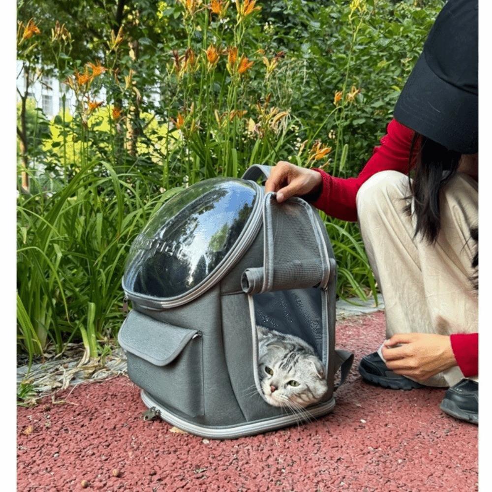 Large Capacity Pet Cat Bag Transparent Portable Pet Bag Cat Carrier Backpack  Guinea Pig Rabbit