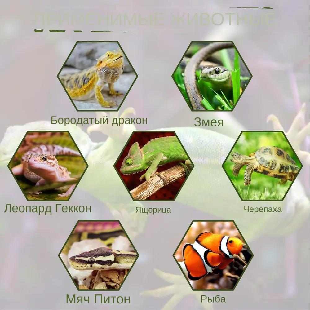 Aquarium Micro Decoration Rockery Retro Climbing Pet Fish Tank Landscaping Ornaments Stone Shrimp Hiding House
