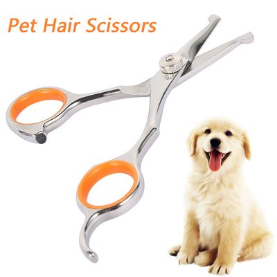 Köpek – Köpek bakım ürünleri