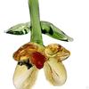 Mini Glass Flower Artificial Crafts Decorative Ornament Decoration for Mom Wife Mother's Day