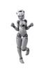 Polinian FMM Clover (Grey Fresh)