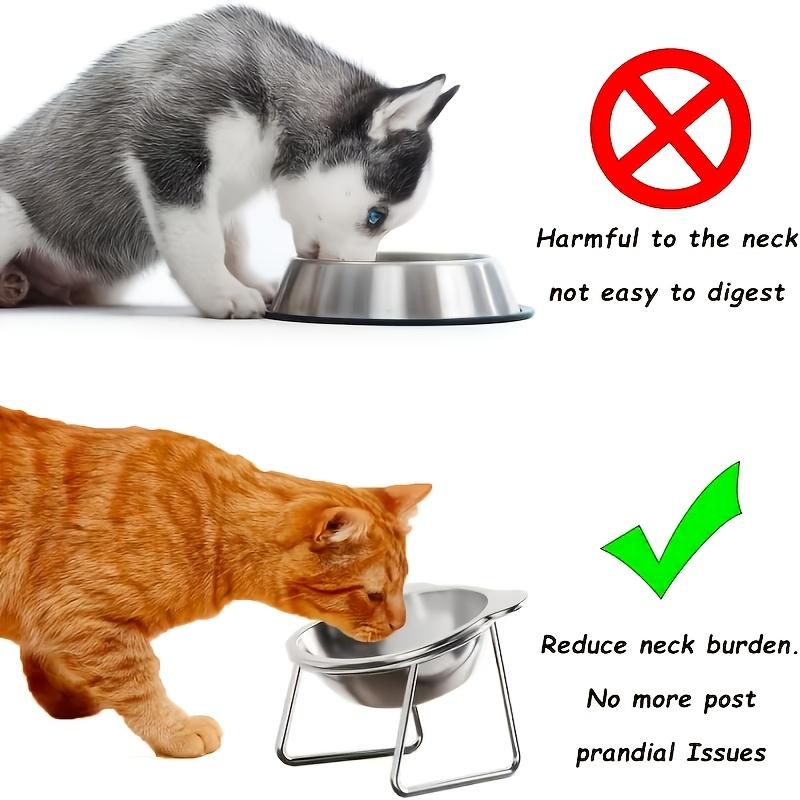 304 Stainless steel pet bowl2Set Tilted base neck protection bowl High-temperature resistant food and water bowl Suitable for small and medium-sized