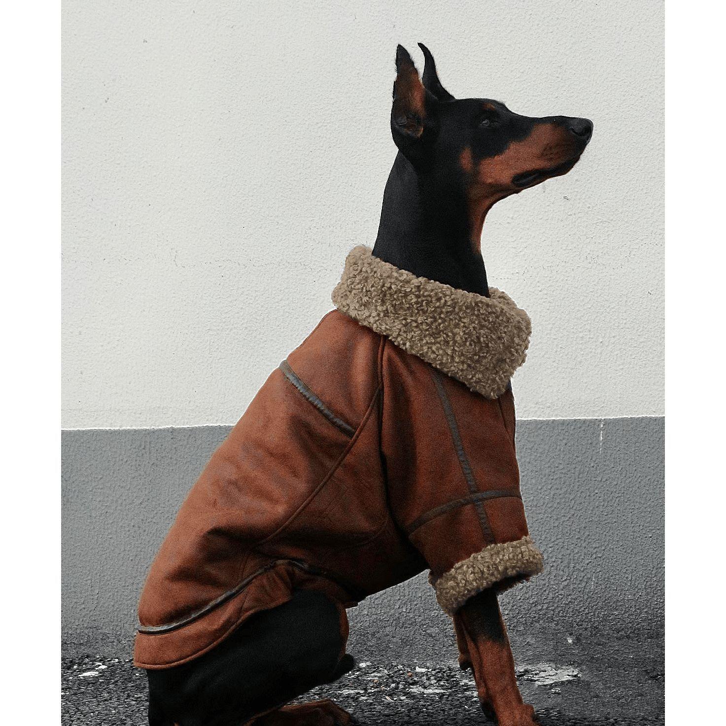 BXX Fleece Lined Dog Lapel Leather