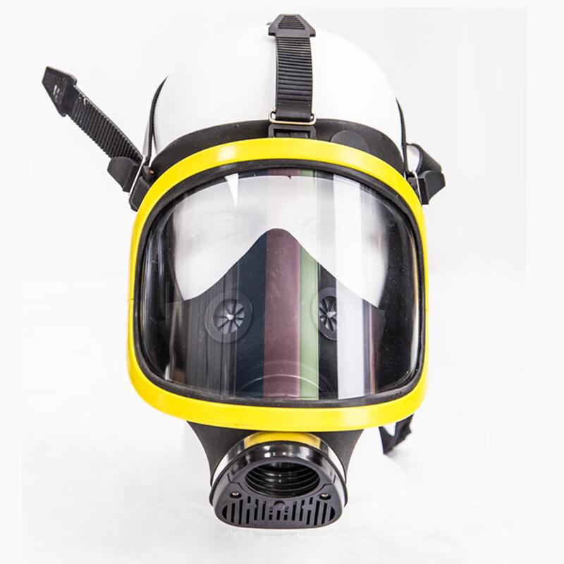 Huazhidun Multi-Purpose Full Face Safety Mask One Size
