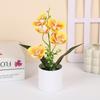5 Plantas Artificiais de Phalaenopsis em Vasos para Decoração de Casa e Escritório Pequenas Plantas em Vasos Falsos Bonsai Plantas Verdes