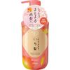 Ichigami Dense W Moisturizing Care Cd Pumpf 450g Kracie Home Products