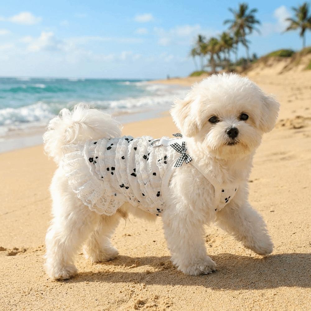 Embroidered Flower Dog Lace Dress Lace Bowknot Puppy Summer Clothing  for Puppy Cats