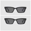 2PCS Personality Fashion Cat Eye Sunglasses Women Men Vintage Classic Black White Frame Sun Glasses Outdoor Driving Shades