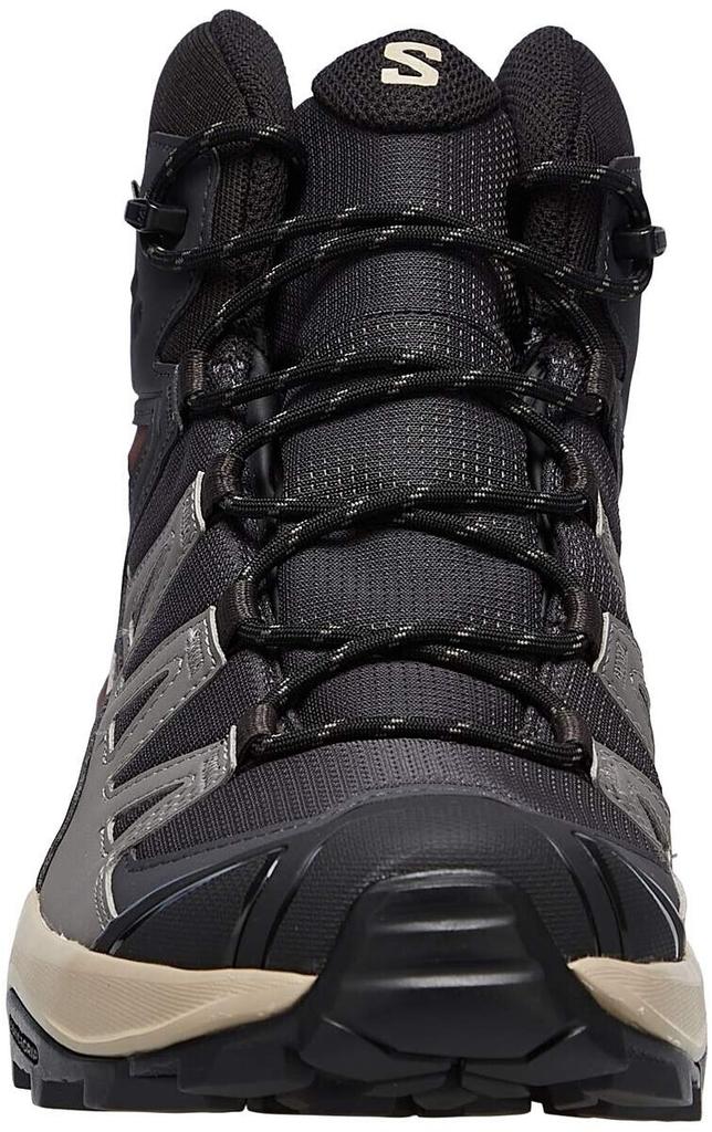 Hiking Shoes Salomon X Ultra 360 Mid GTX Phantom/desert Tan/rum Raisin