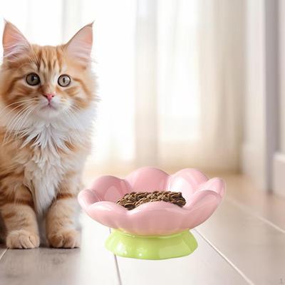 Kedi – Kedi Besleme ve Sulama Malzemeleri