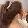 Acrylic Claw Clips Colorful Ponytail Holders Simple Hair Clips  Curly Long Straight Short Hair