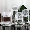 Extra Large Hydroponic Glass Vase for Pothos and Green Plant Arrangements - Living Room Desktop Ornament