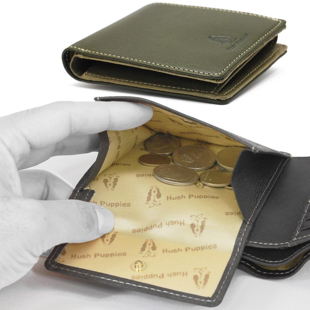 Hush Puppies Nick Bifold with Coin Cowhide HP0606 Wallet, Purse, Leather, (Green (50))