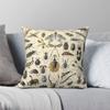 Funda de Almohada Cuadrada con Estampado de Insectos Vintage Bug Chart Polié Lino Terciopelo Cremallera Funda Decorativa para Cojín de Sofá