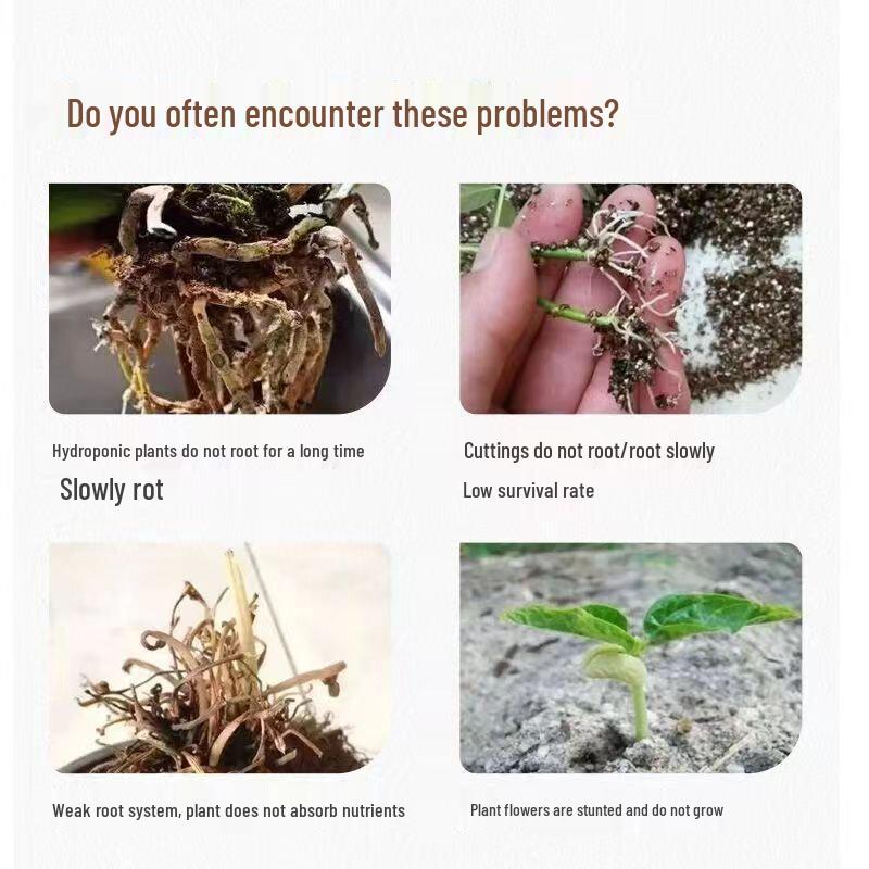 Universal Fast-Acting Rooting Solution for Succulents, Trees, and Flowers - Enhances Strong Root Growth in Seedlings