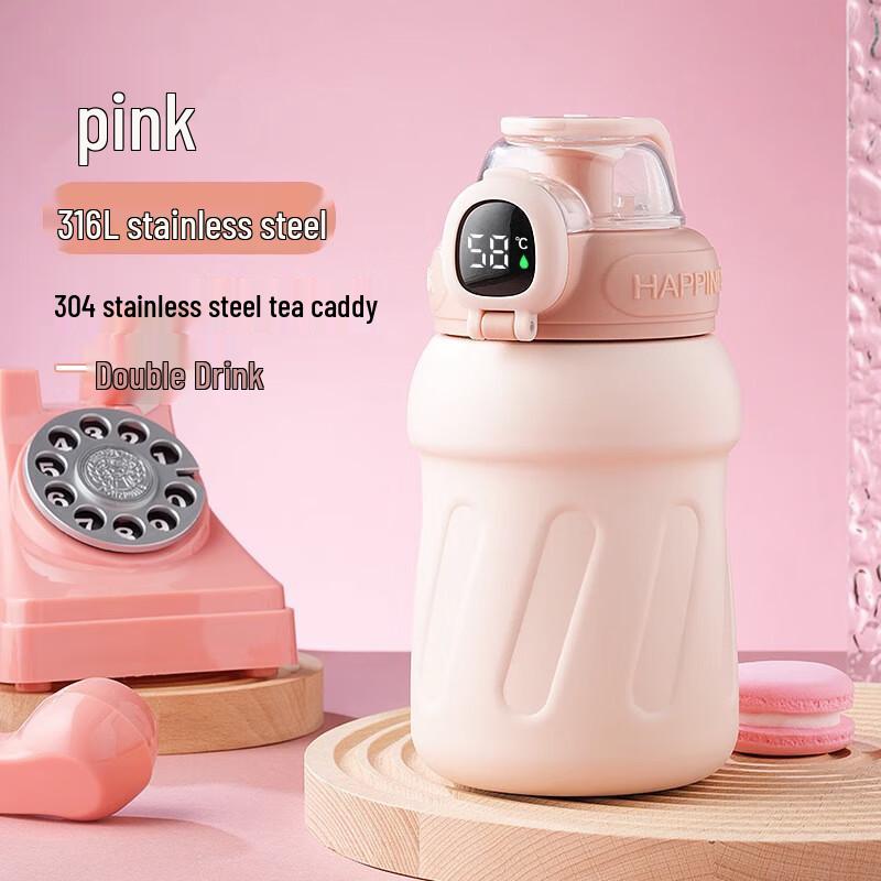 Smart Temp Display Insulated Water Bottle with Straw