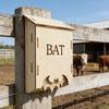 Wooden Bats House Bats Box Sturdy Quick Installation Weatherproof Decor Lightweight Wall Mounted for Park Backyard Garden