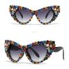 Luxury Diamond Cat Eye Sunglasses Women Vintage Designer Trendy Big Frame Crystal Rhinestone Sun Glass