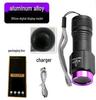 UV Blacklight Flashlight: Portable 365nm Banknote Verifier, Anti-Counterfeit, Jade ID, Wood's Lamp, USB Rechargeable