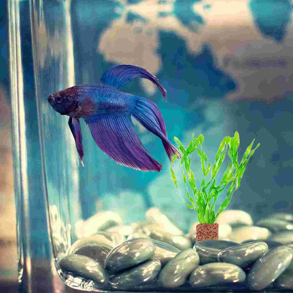 Pflanzenwasserfixierer Aquarium-Ringhalter Fischbecher-Behälter Medium für Keramikpflanzen Gewichte Topf Wasserpflanzen-Filter Keramik-Teich-Pflanzgefäß