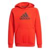 Kids Sweatshirts Hooded Moderate H07740