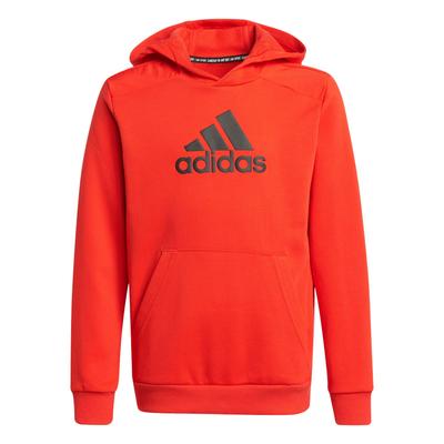 Kids Sweatshirts Hooded Moderate H07740