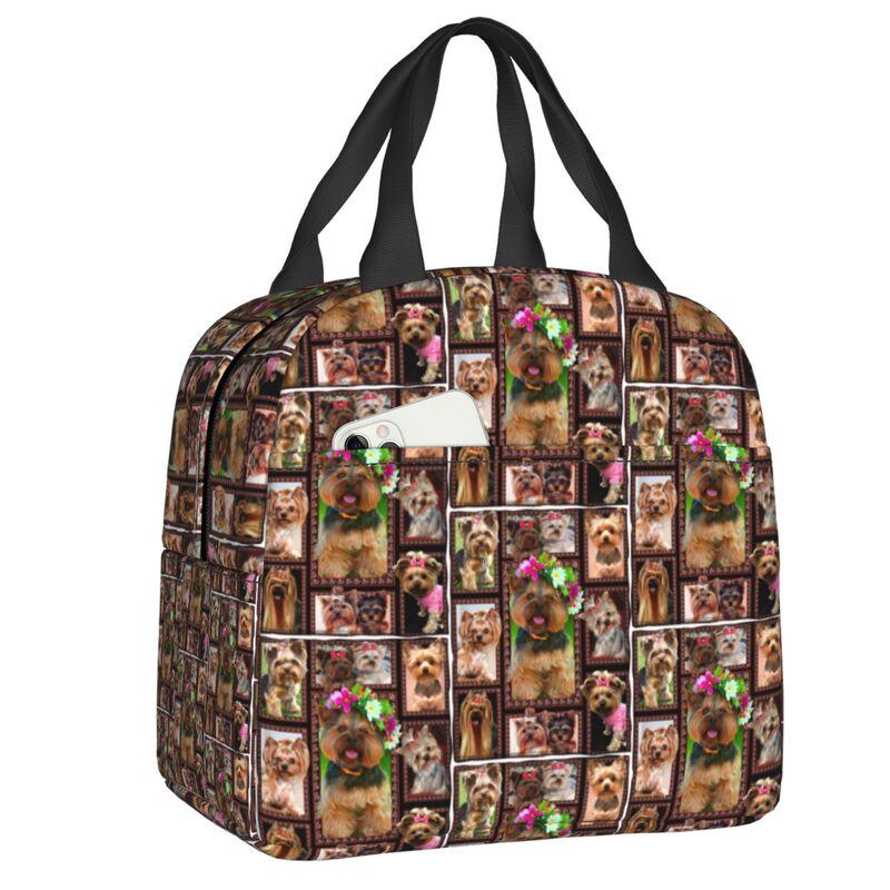 Yorkshire Terrier Dog Resuable Lunch Boxes for Women Waterproof Yorkie Lover Thermal Cooler Food Insulated Lunch Bag Office Work