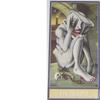 Deviant Moon Tarot Borderless Edition-Karten Tarot-Kartenspiele